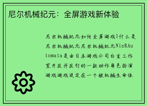 尼尔机械纪元：全屏游戏新体验